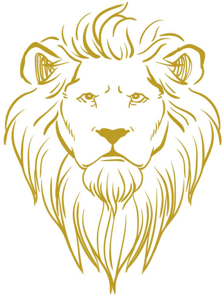 Professional auto detailing showcase